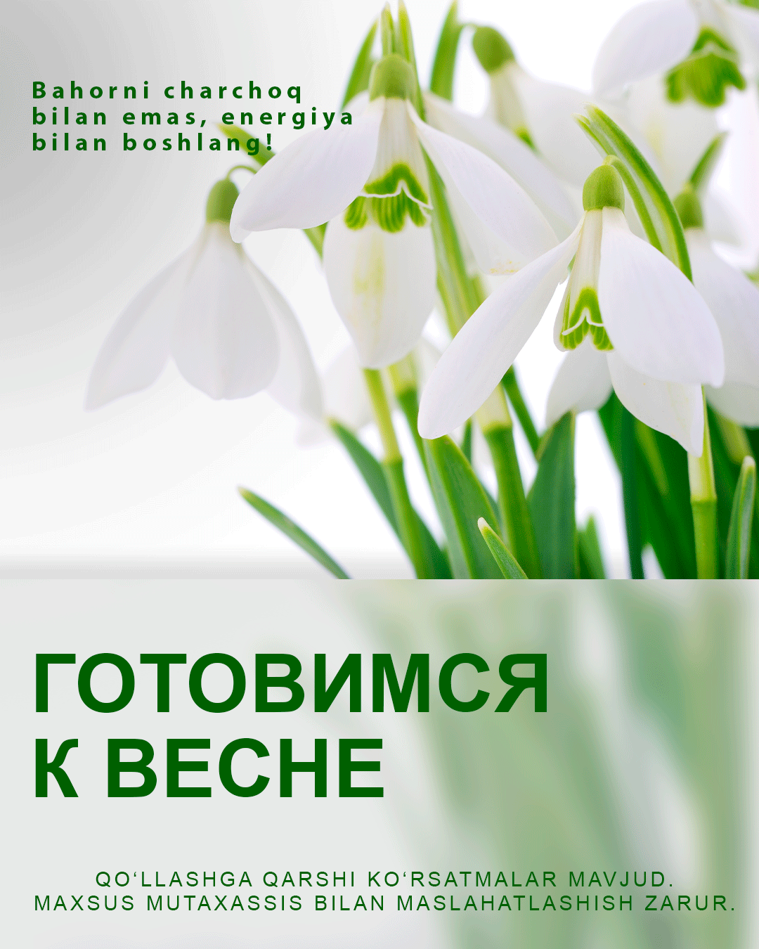 Готовимся к весне со Swiss Lab